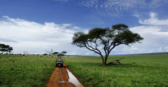 Safari i Afrika
