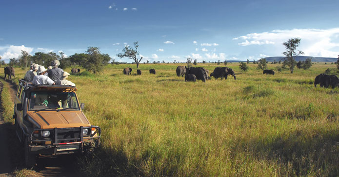 Turister i en safaribil på savannen.