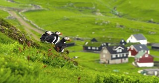 8 steder å se på Færøyene – bli inspirert og se flypriser her