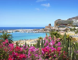 De billigste charterreisene til Gran Canaria